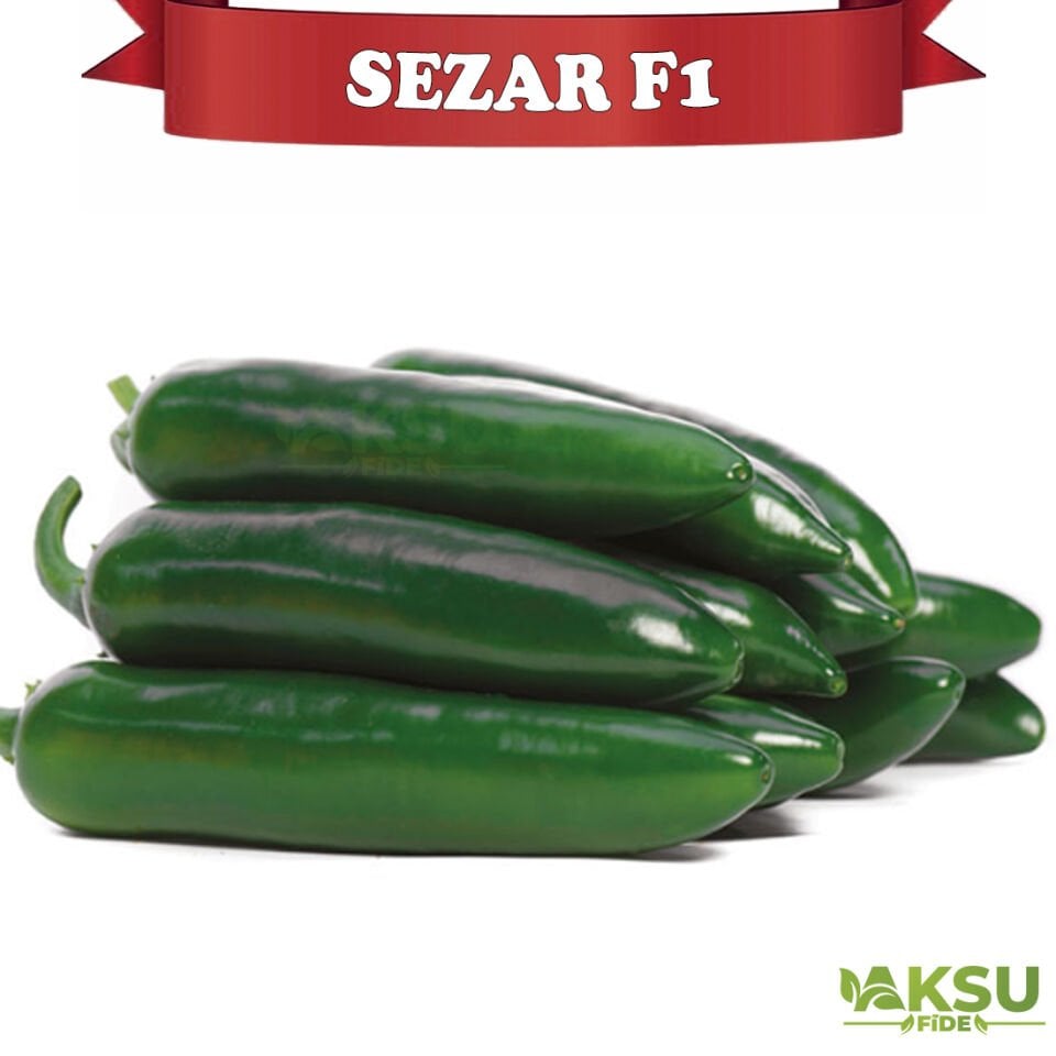 Sezar F1 Jalapone Biber Tohumu