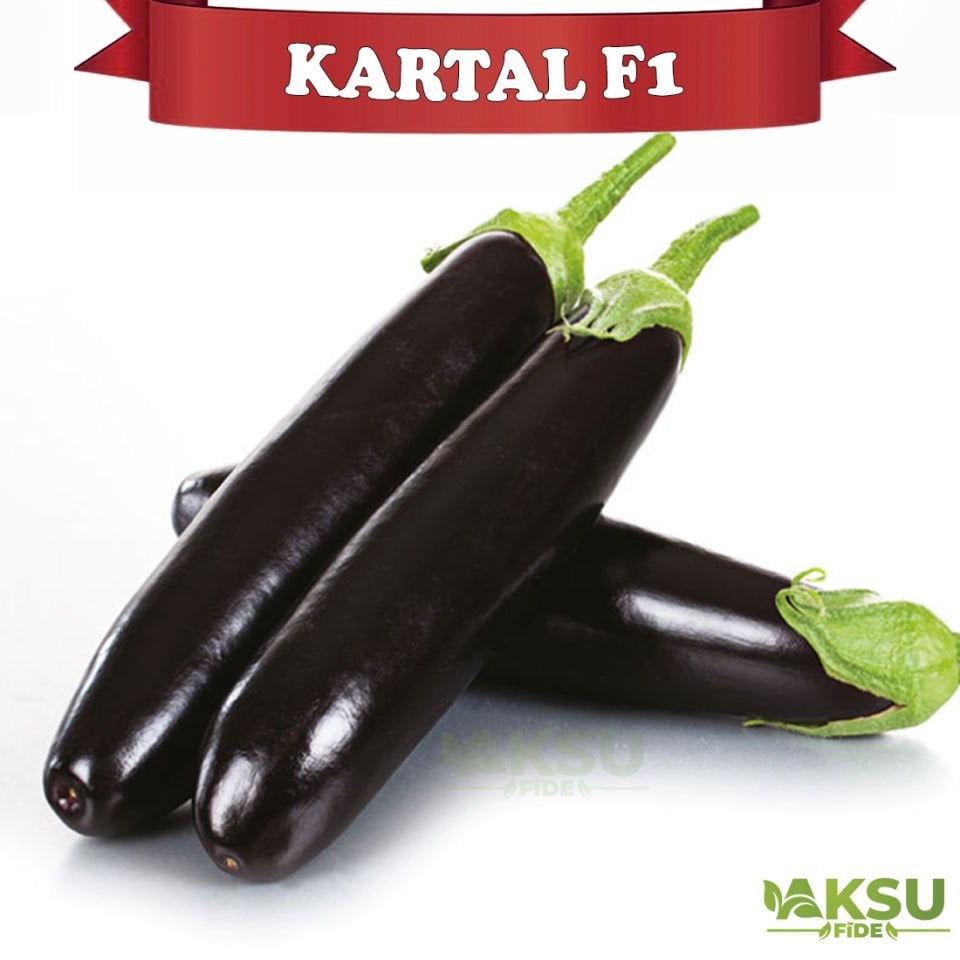 Kartal F1 - Patlıcan Tohumu
