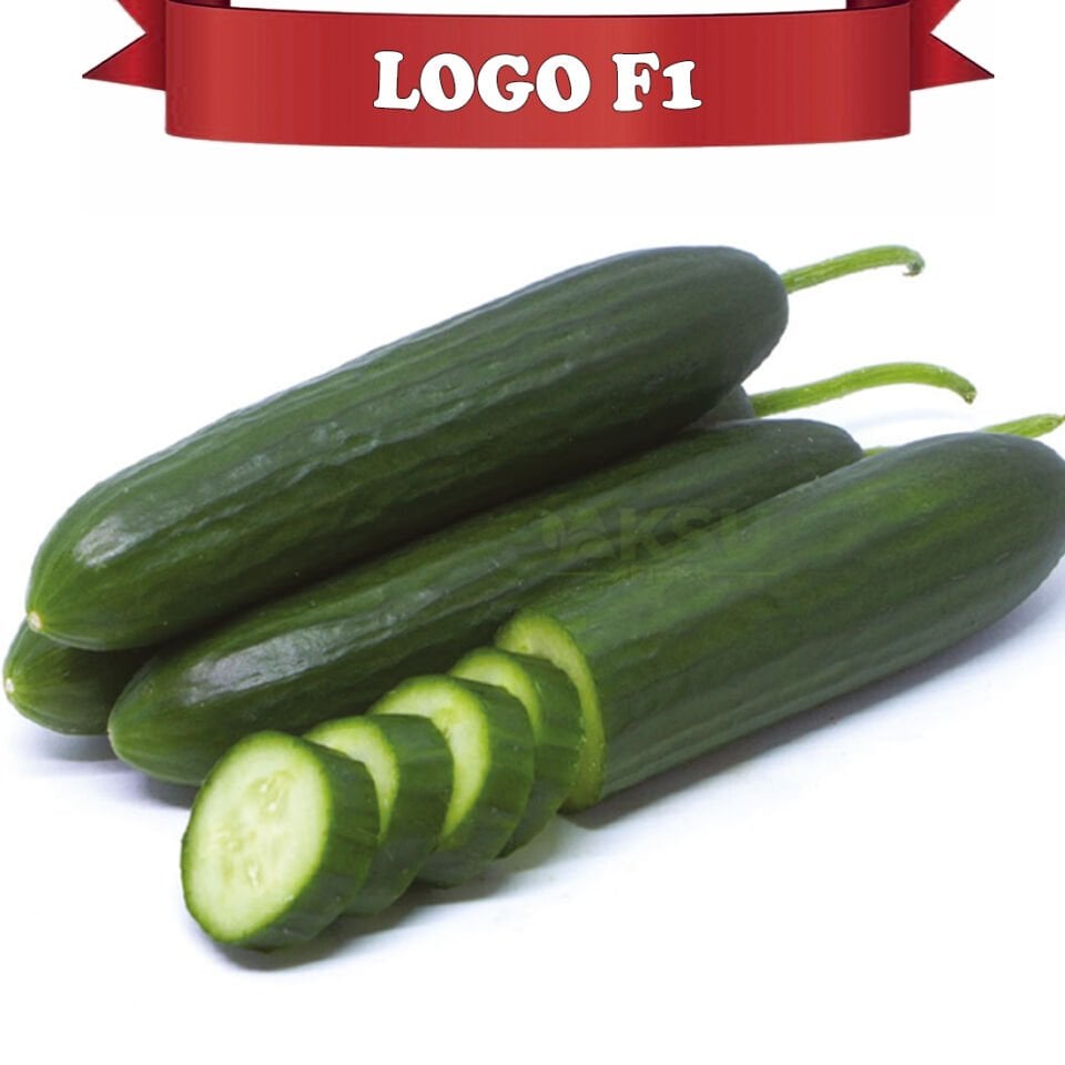 Logo F1 Sırık Tekli Hıyar Tohumu