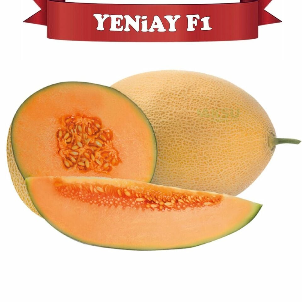 Yeniay F1 Ananas Tipi Kavun Tohumu