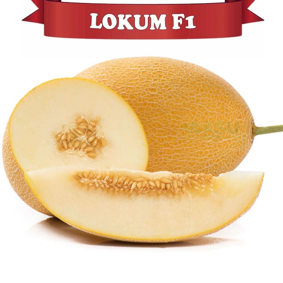 Lokum F1 Ananas Tipi Kavun Tohumu