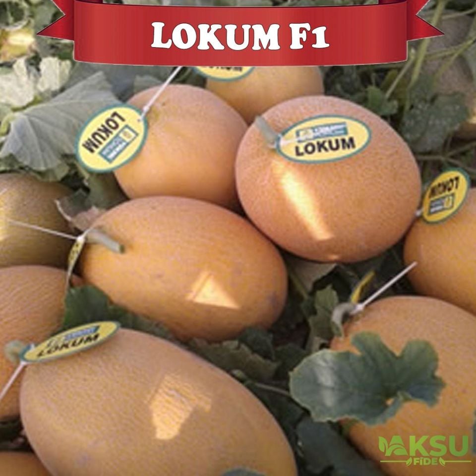Lokum F1 Ananas Tipi Kavun Tohumu
