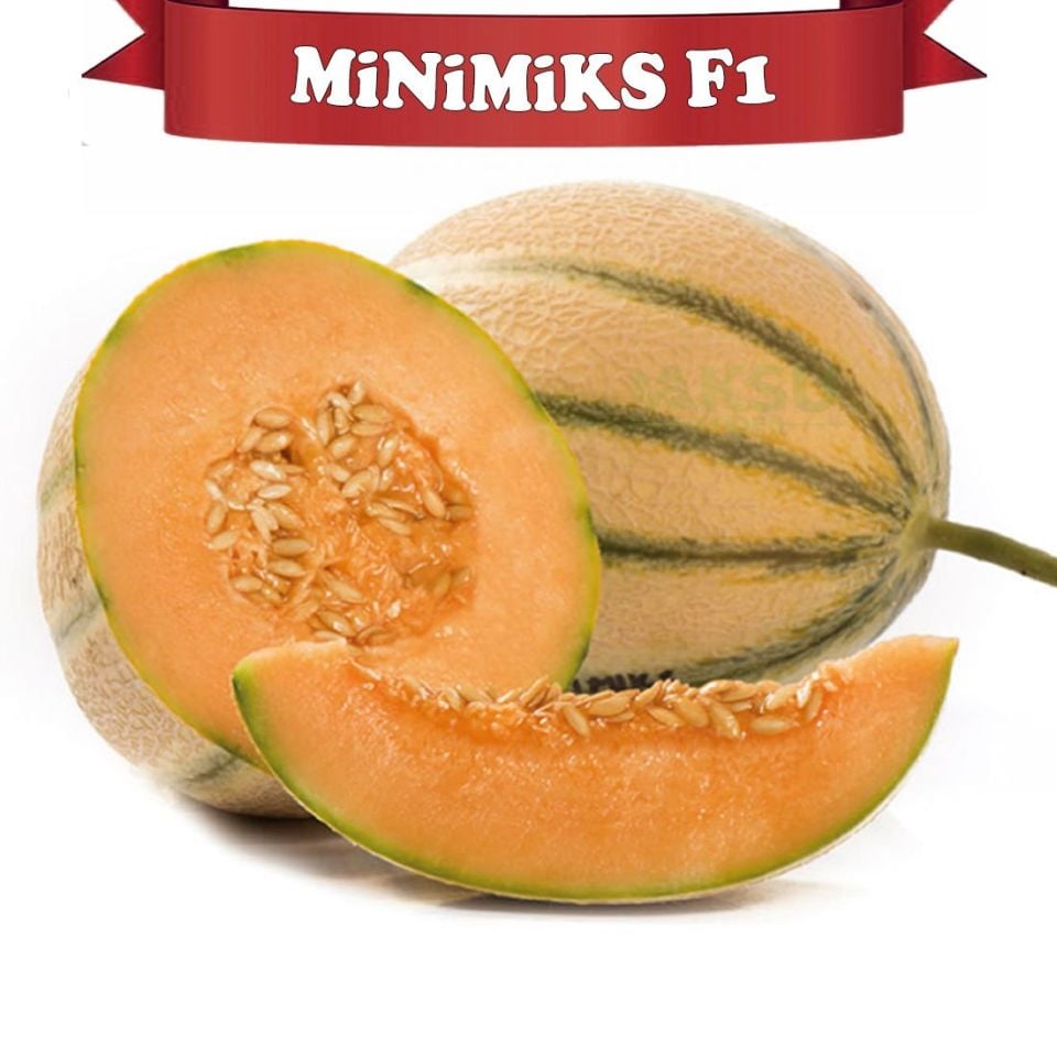 Minimiks F1 Mini Kavun Tohumu