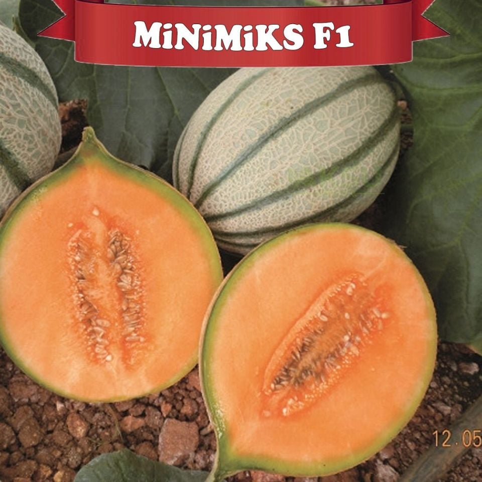 Minimiks F1 Mini Kavun Tohumu