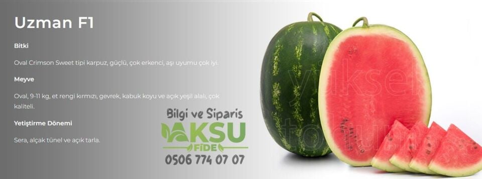 Uzman F1 Ala Karpuz Tohumu
