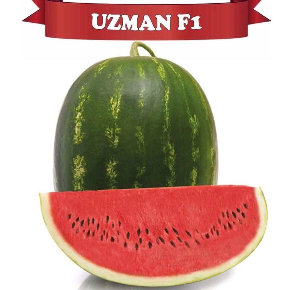Uzman F1 Ala Karpuz Tohumu
