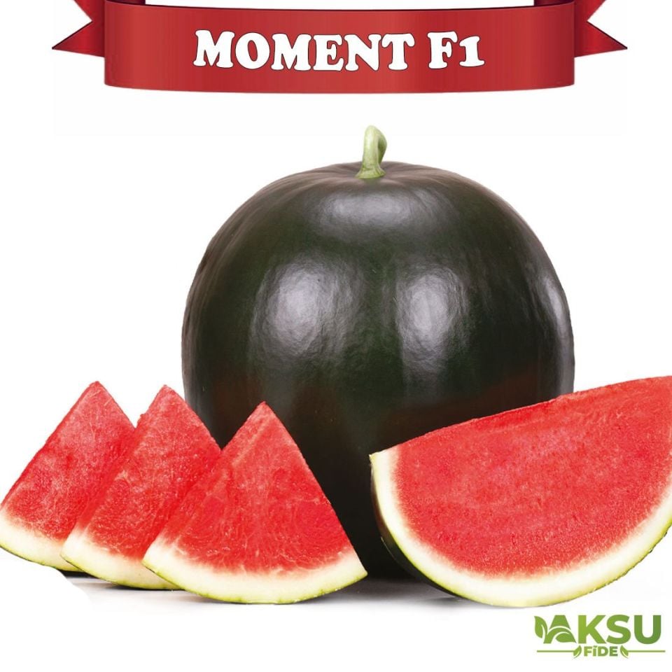Moment F1 Çekirdeksiz Siyah Karpuz Tohumu