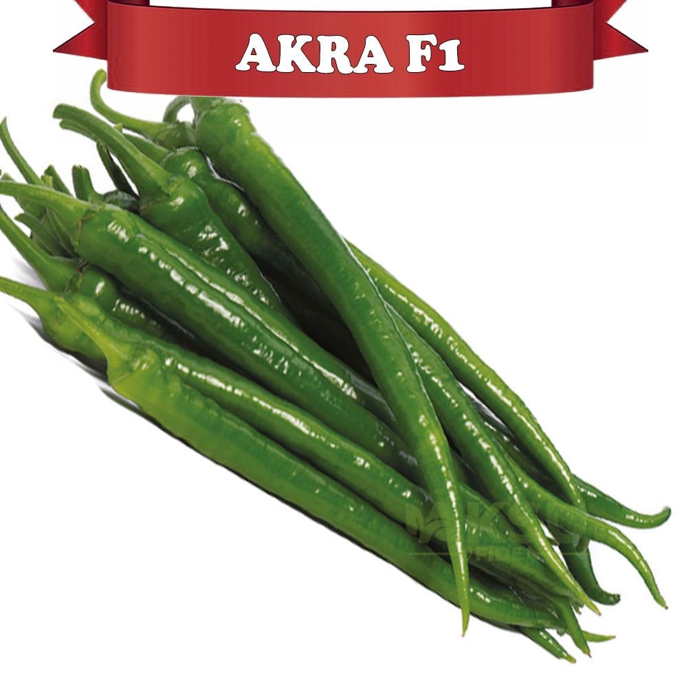 Akra F1 Tatlı Sivri Biber Fidesi
