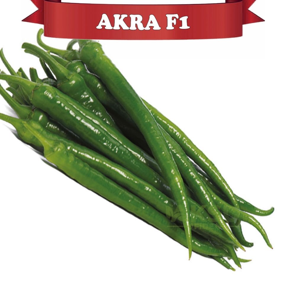 Akra F1 Tatlı Sivri Biber Fidesi