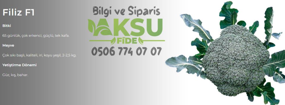 Filiz F1 Çok Erkenci Brokoli Fidesi