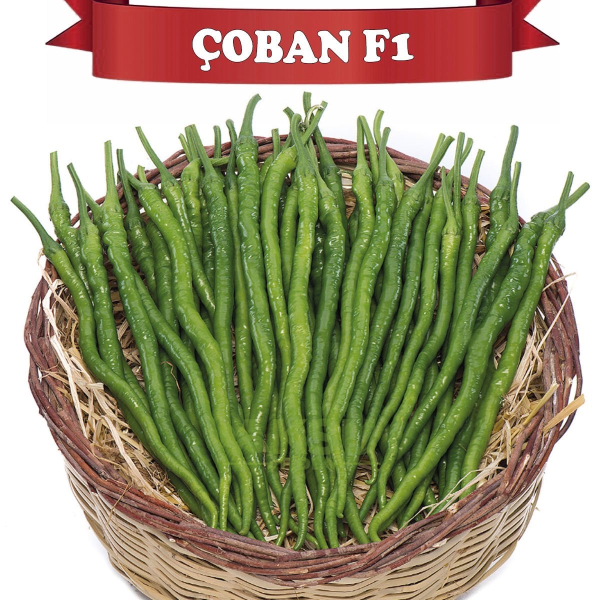 Çoban F1 Acı Kıl Sivri Biber Fidesi