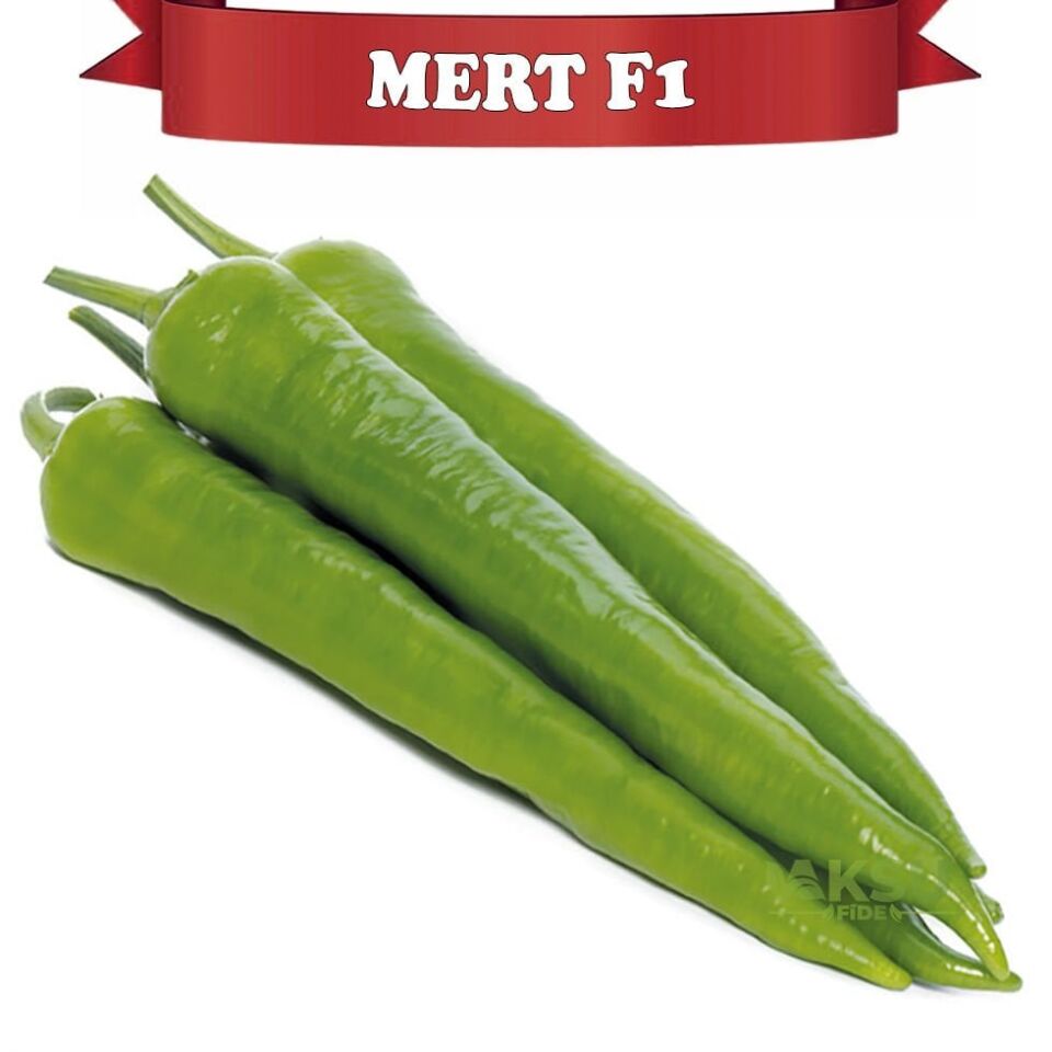 Mert F1 Tatlı Sivri Biber Fidesi