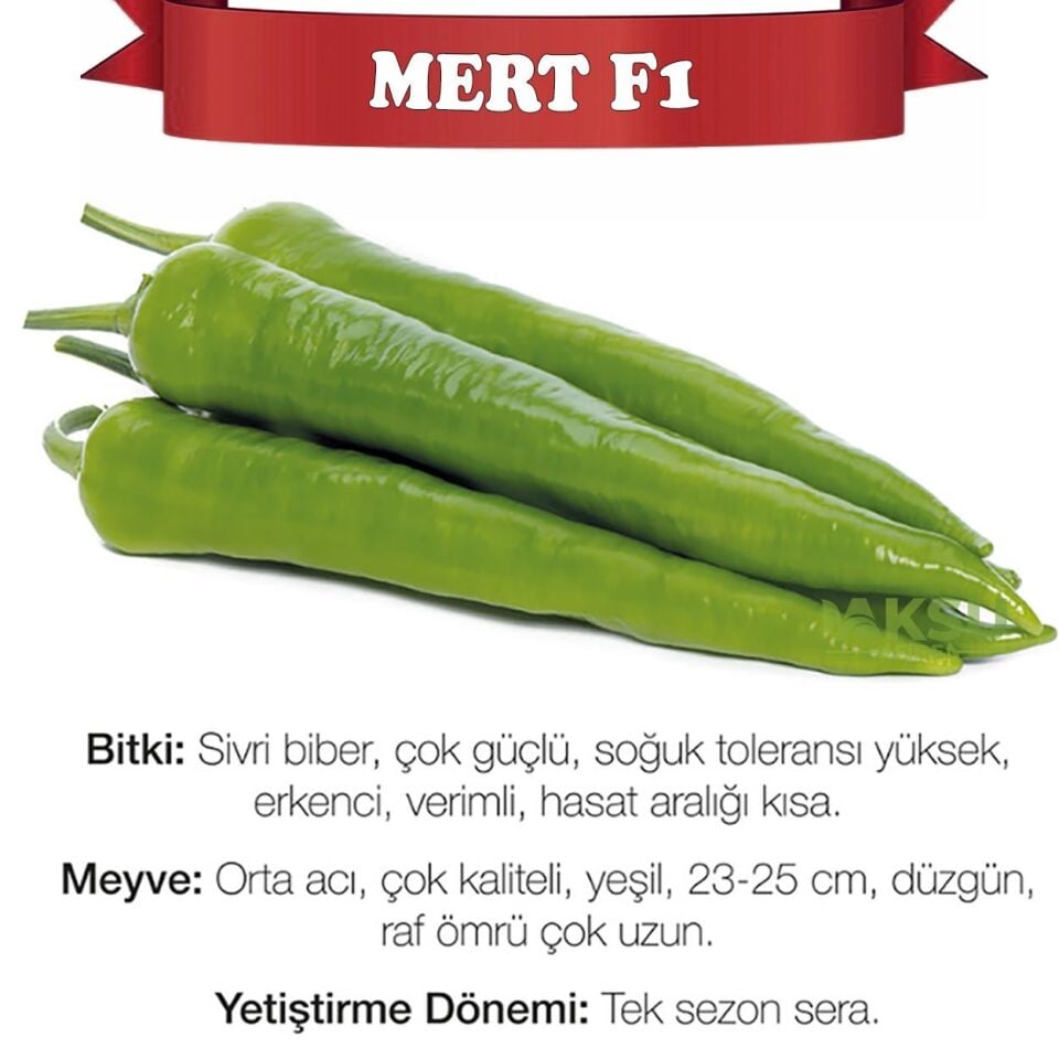 Mert F1 Tatlı Sivri Biber Fidesi