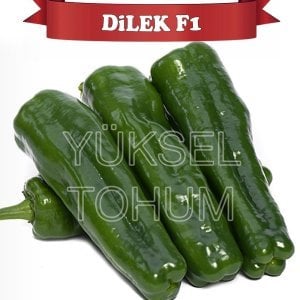 Dilek F1 Üçburun Biber Tohumu