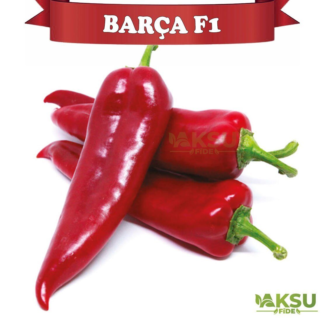 Barça F1 Kapya Biber Tohumu