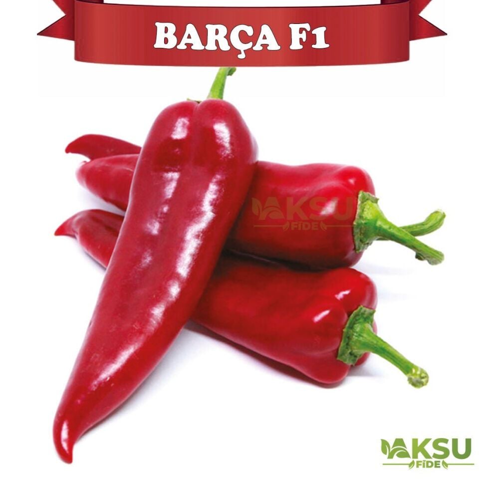 Barça F1 Kapya Biber Tohumu