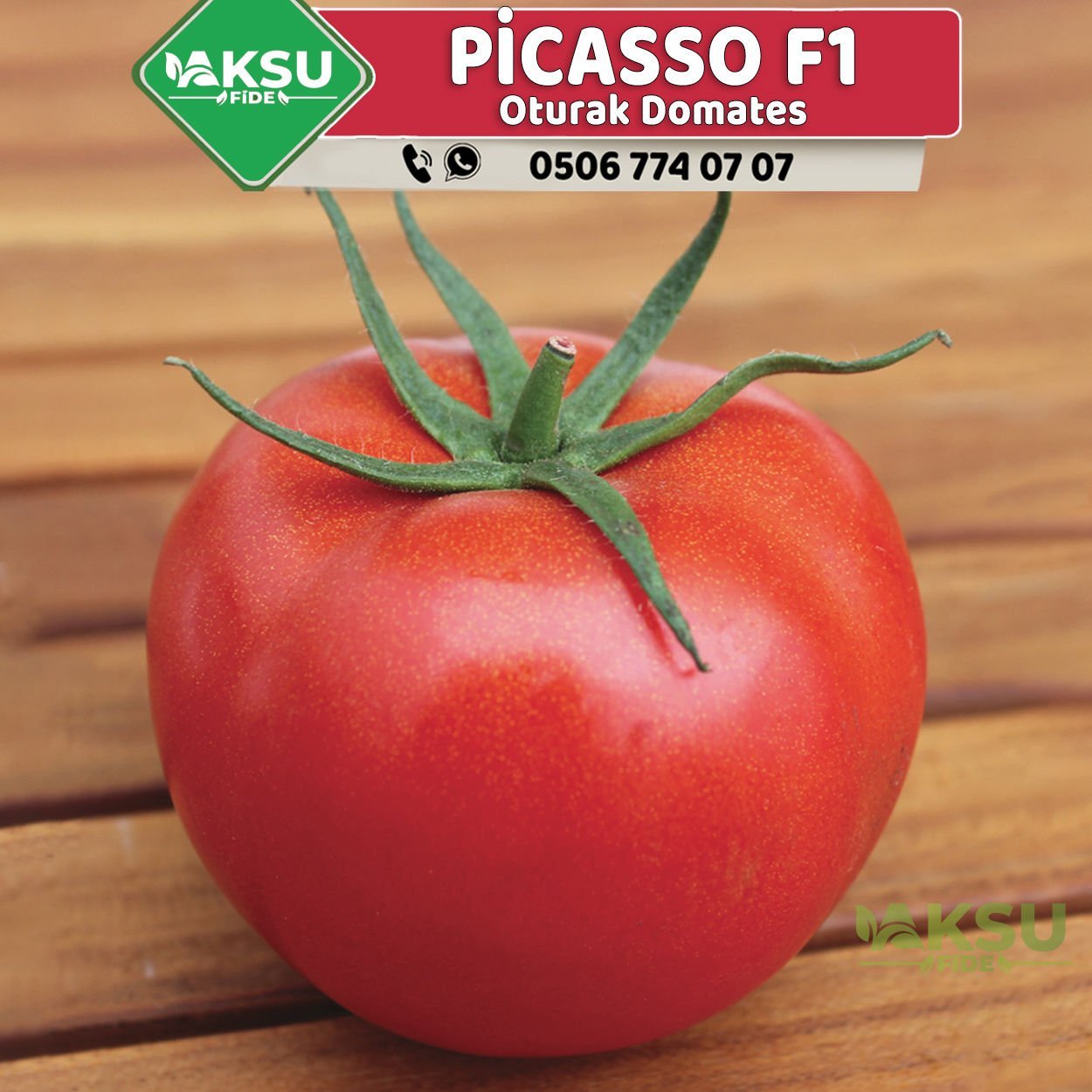 Picasso F1 Oturak Tane Domates Fidesi