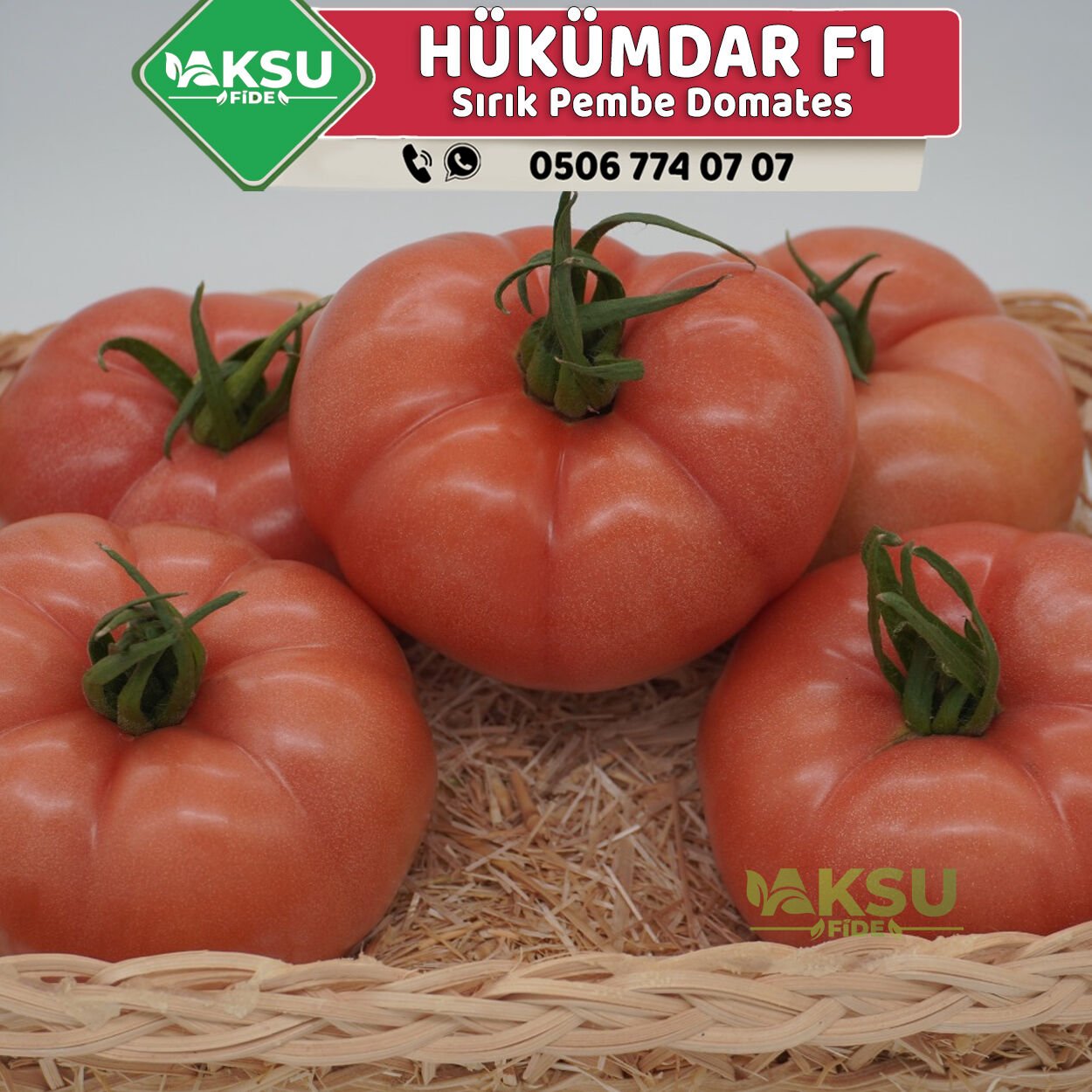 Hükümdar F1 Sırık Pembe Domates Fidesi