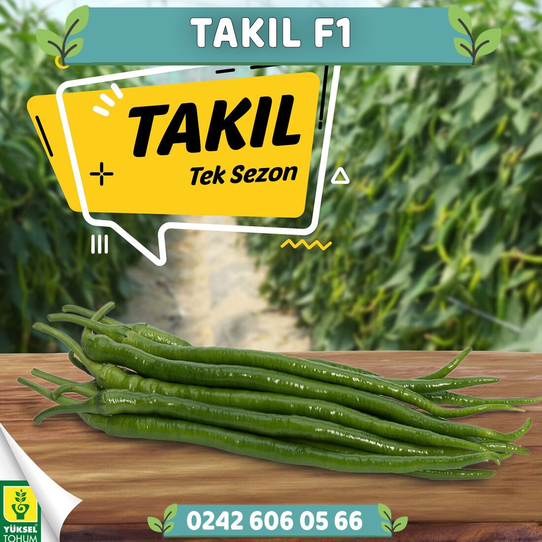 Takıl F1 Tatlı Kıl Biber Tohumu