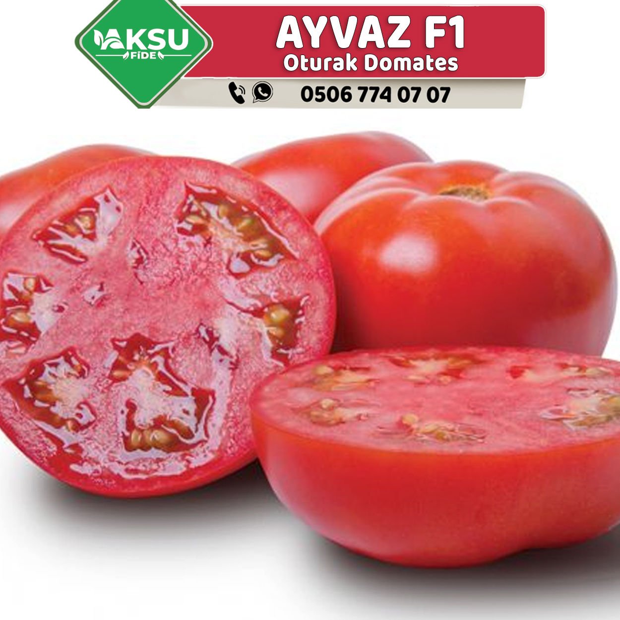 Ayvaz F1 Oturak Domates Fidesi