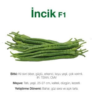 İncik F1 Tatlı Kıl Biber Fidesi