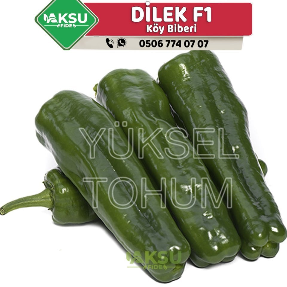 Dilek F1 Üçburun Biber Fidesi