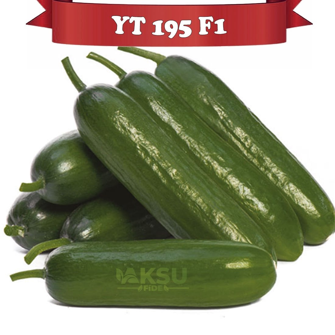 YT 195 F1 Sırık Badem Hıyar Fidesi