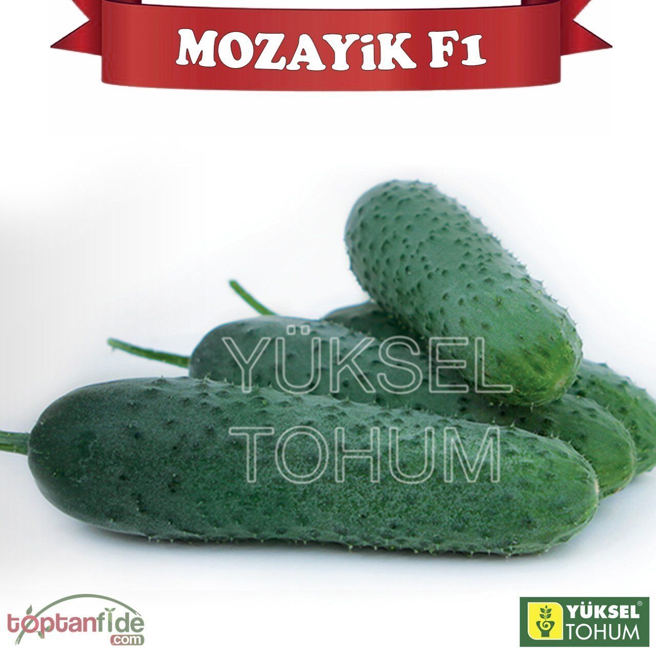 Mozayik F1 Dikenli Hıyar Fidesi