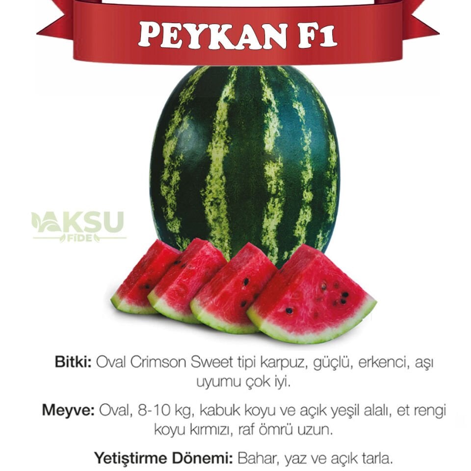 Peykan F1 Ala Karpuz Fidesi