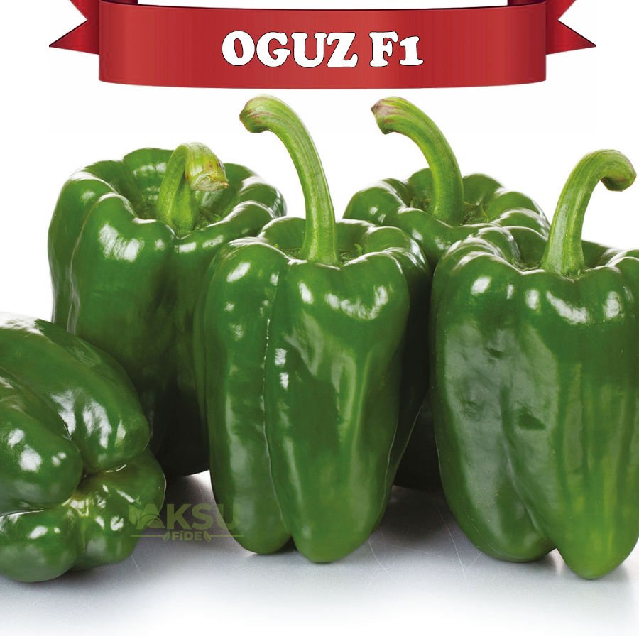 Oğuz F1 Antep Acı Dolma Biber Fidesi
