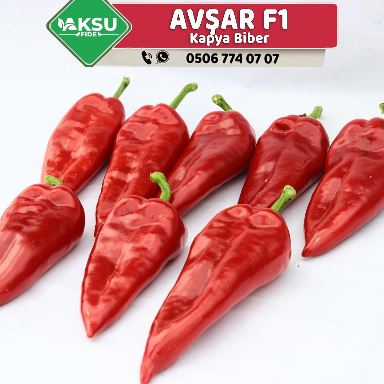 Avşar F1 Kapya Biber Fidesi