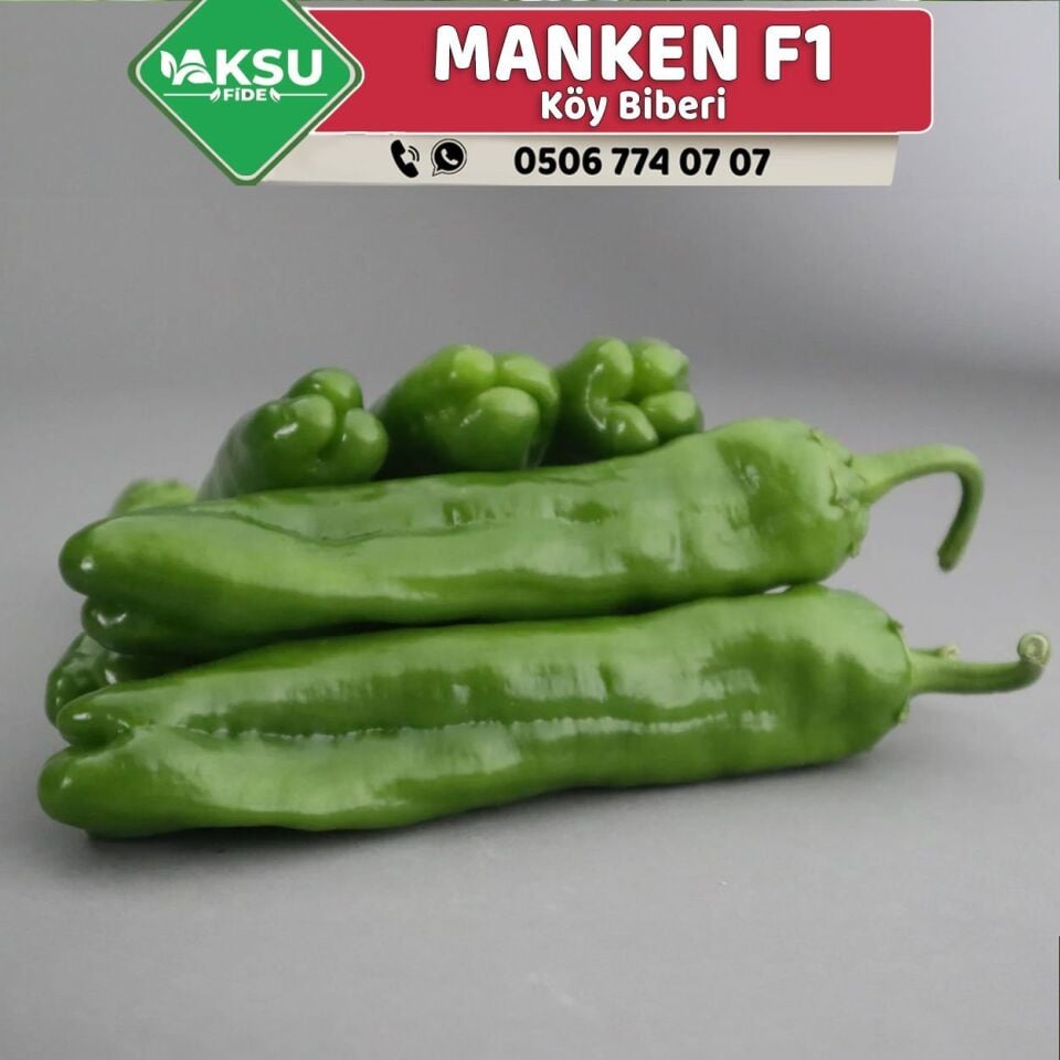 Manken F1 Köy Biberi Fidesi