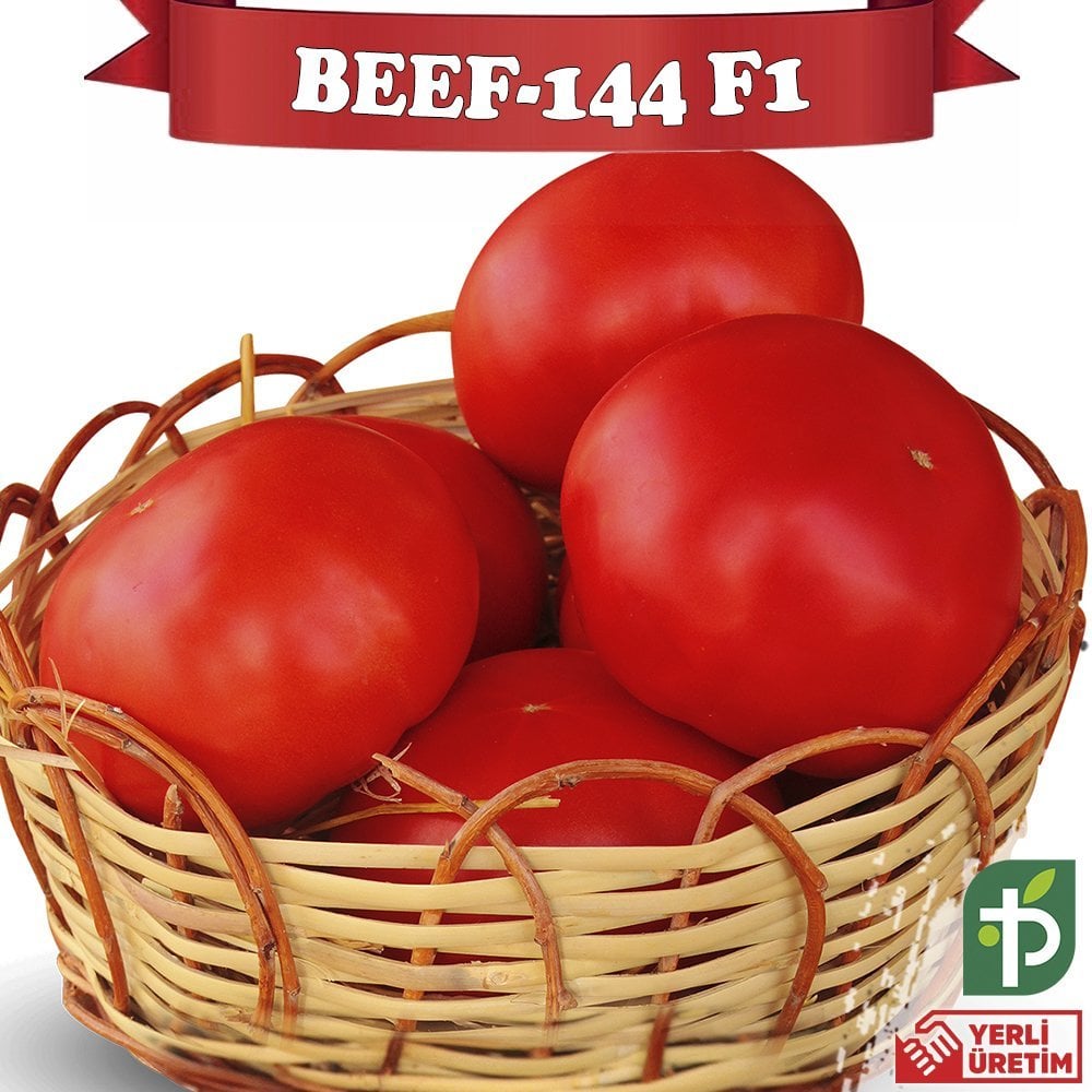 Beef-144 F1 - Sırık Beef Domates Fidesi