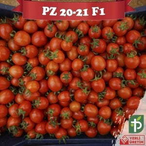PZ-2021 F1 - Kokteyl Domates Fidesi