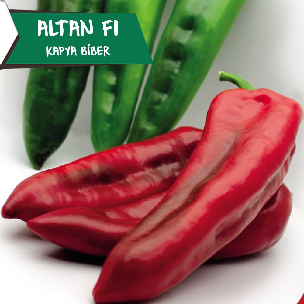 Altan F1 - Kapya Biber Tohumu 1000 Adet