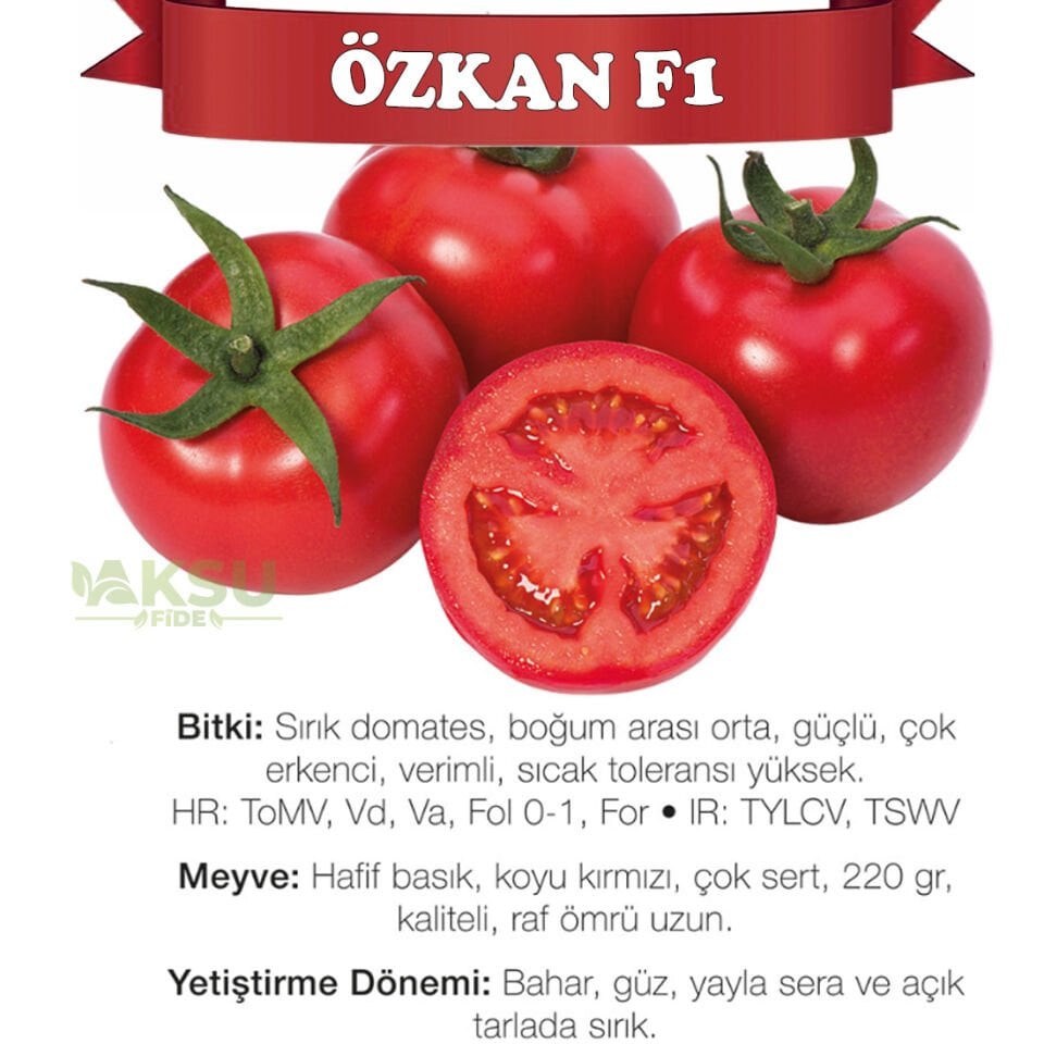Özkan F1 Sırık Domates Fidesi