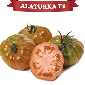 Alaturka F1 - Sırık Köy Domatesi Fidesi