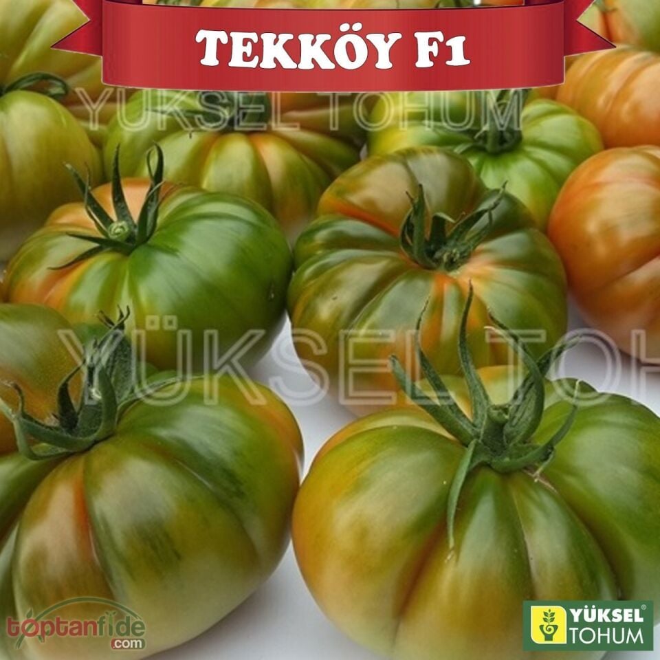 Tekköy F1 Sırık Köy Domatesi Fidesi