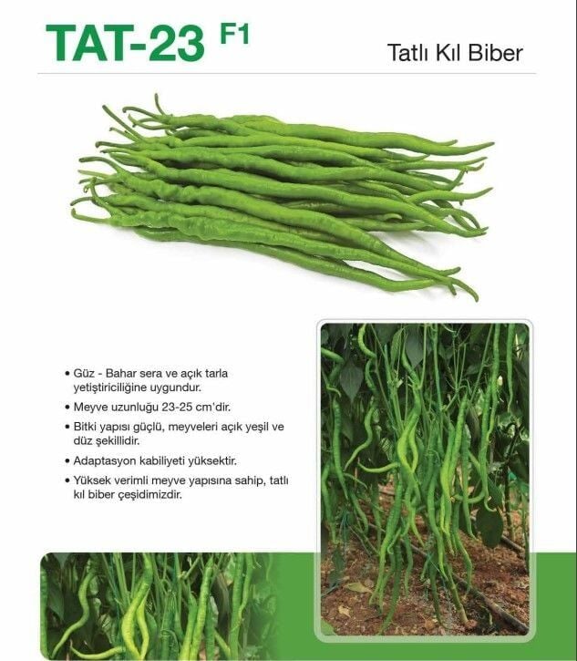 Çalımlı F1 - Tatlı Kıl Biber Tohumu 1000 Ad/pk