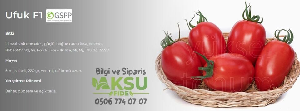 Ufuk F1 Sırık Oval Domates Fidesi
