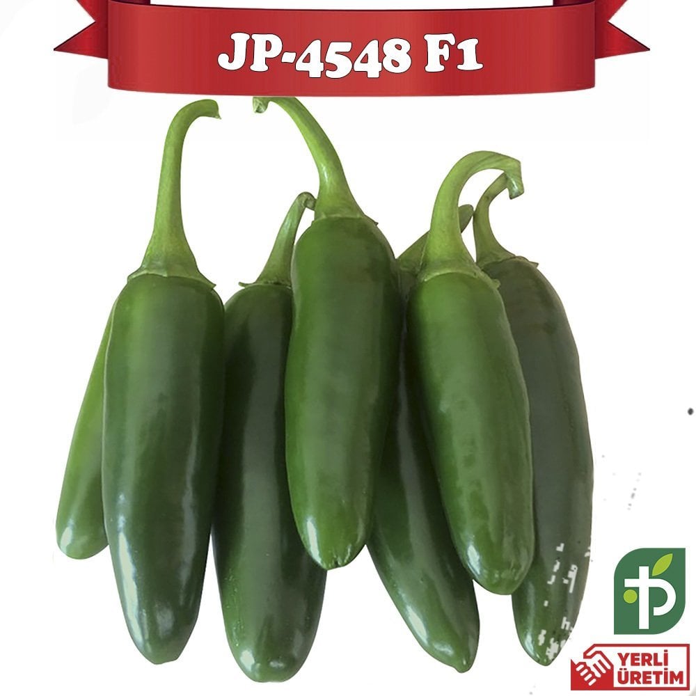 JP-4548 F1 - Jalepon Biber Fidesi