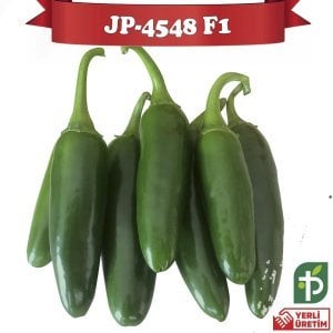 JP-4548 F1 - Jalepon Biber Fidesi