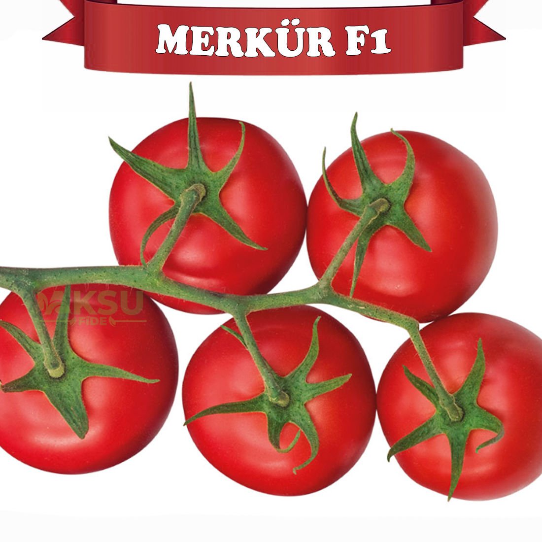 Merkür F1 Sırık Salkım Domates Fidesi
