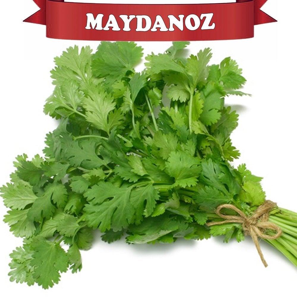 Maydanoz Fidesi