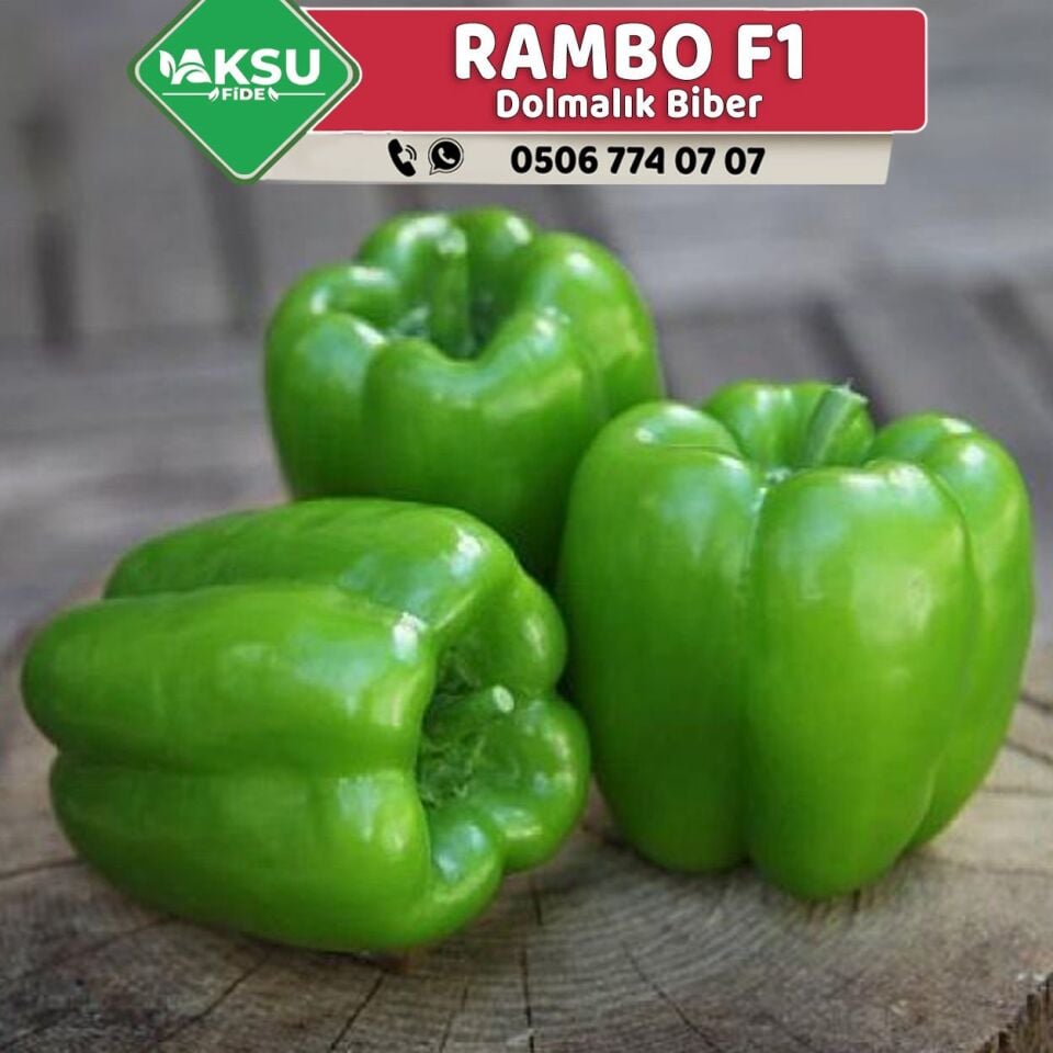 Rambo F1 Dolmalık Biber Fidesi