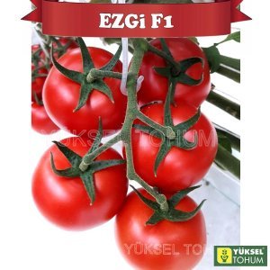Ezgi F1 Sırık Salkım Domates Tohumu