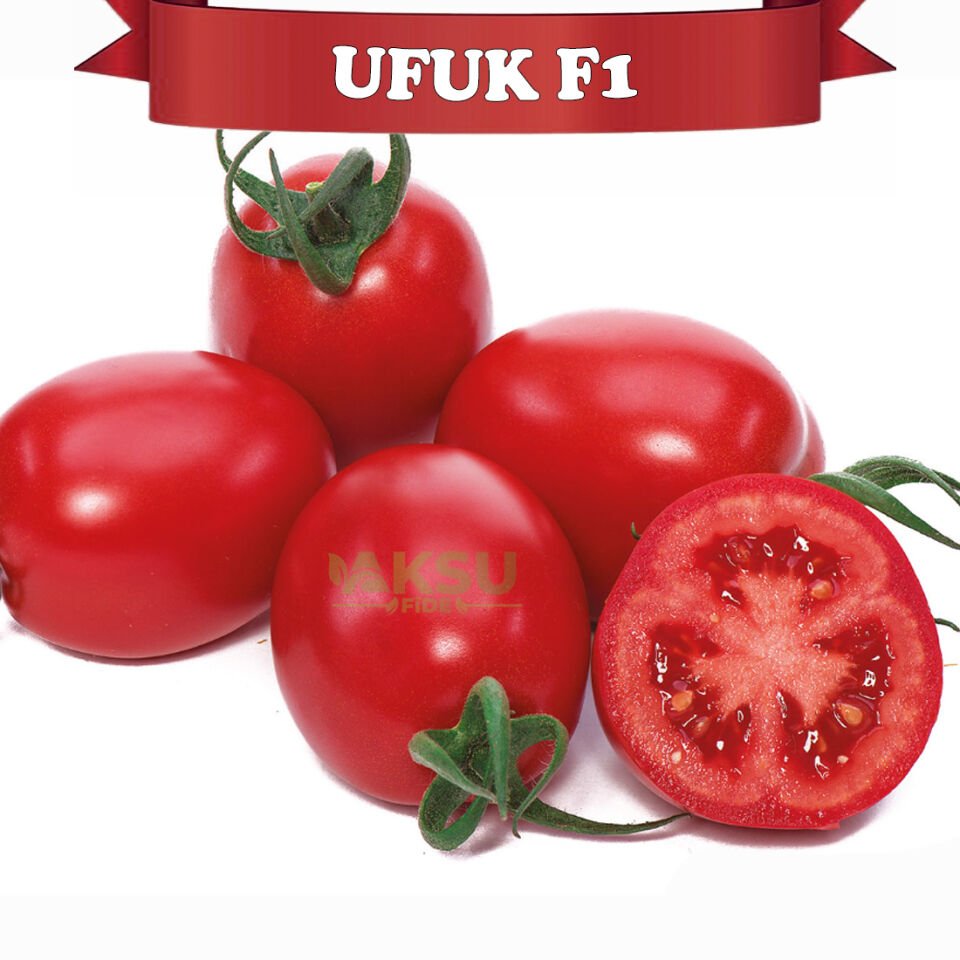 Ufuk F1 Sırık Domates Tohumu