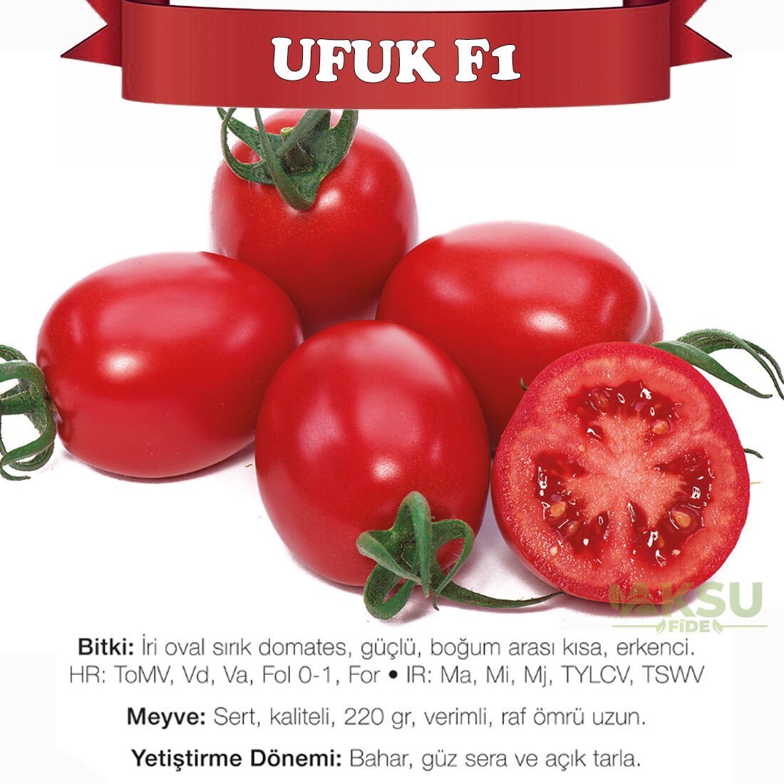 Ufuk F1 Sırık Domates Tohumu