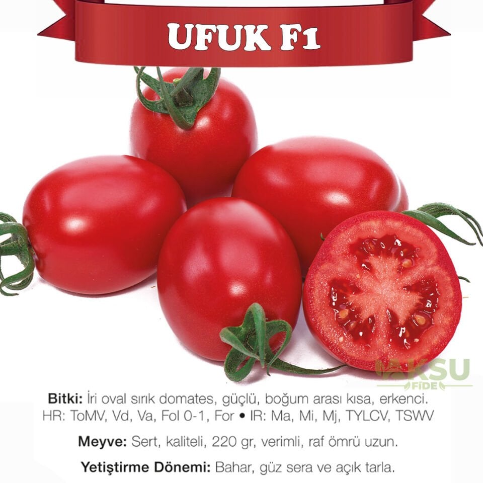 Ufuk F1 Sırık Domates Tohumu
