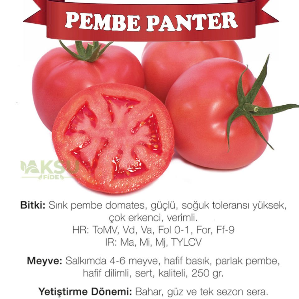 Pembepanter F1 Domates Tohumu 1000 Adet
